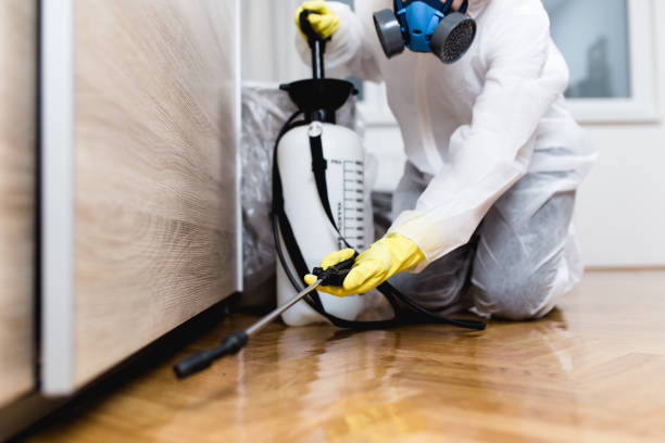 Best Rat Extermination Near Me  in Douglass Hills, KY
