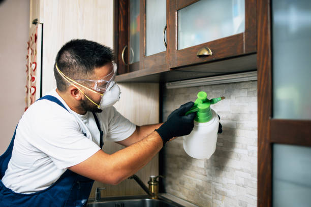 Wasp Removal Services in Douglass Hills, KY