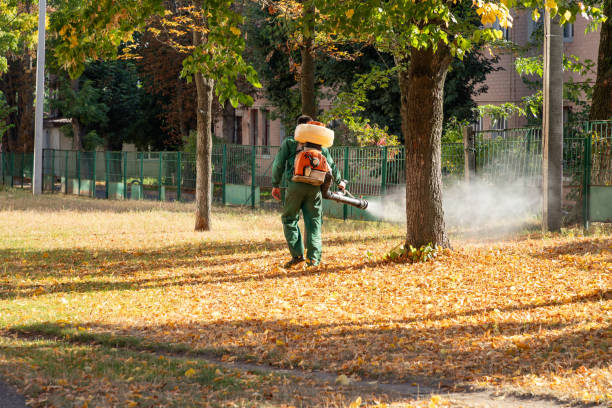 Best Wasp Removal Services  in Douglass Hills, KY